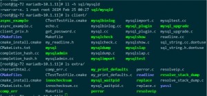 mariadb_1